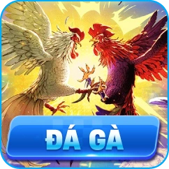 đá gà lv88